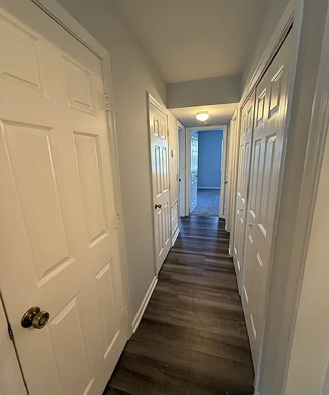729 Shelby Dr #B — Photo 16