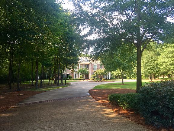 Driveway View