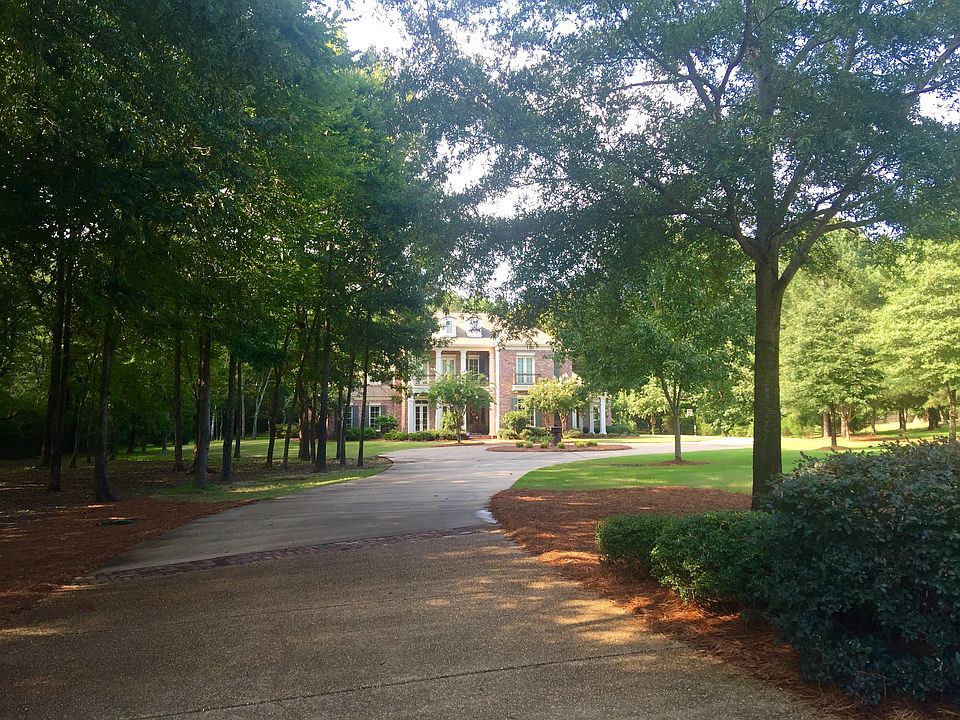 Driveway View