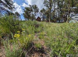 2898 Red Ashby Rd, Livermore, CO 80536