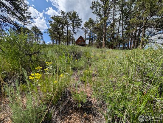 2898 Red Ashby Rd, Livermore, CO 80536
