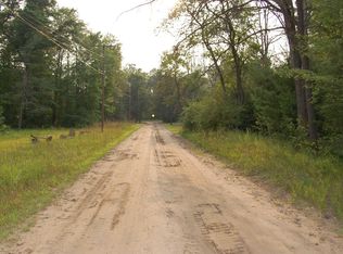 LOT 27 Catherine St, Prescott, MI 48756