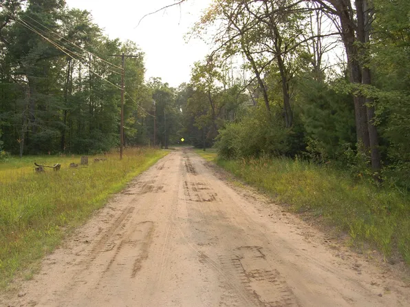 LOT 27 Catherine St, Prescott, MI 48756