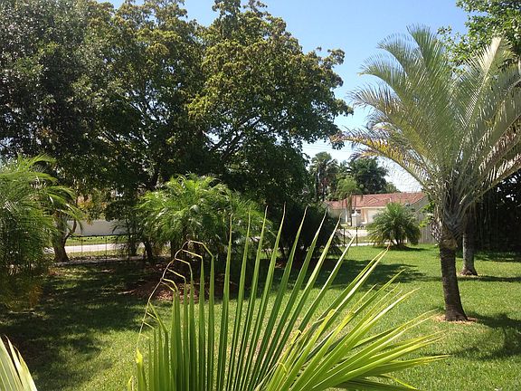 View of Front Yard