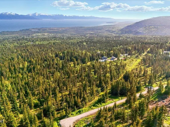 54533 Winchester Ave, Homer, AK 99603