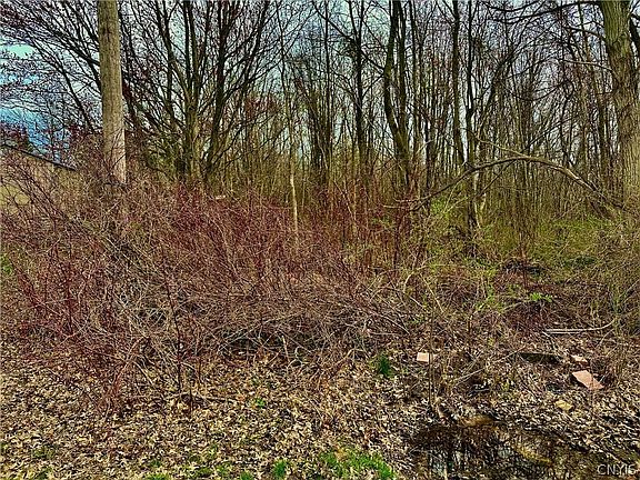 2nd image of 0 McCracken Dr