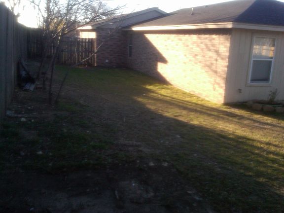 backyard left