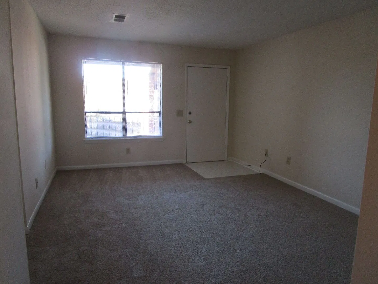 Willow Run - 251 Rast Street — Photo 2