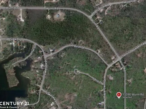 15390 Wurm Rd, Wolverine, MI 49799