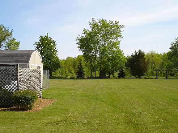 Back yard