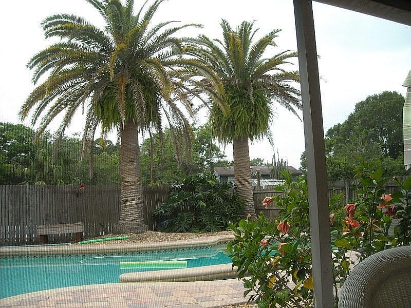 Pool viewed from Lanai