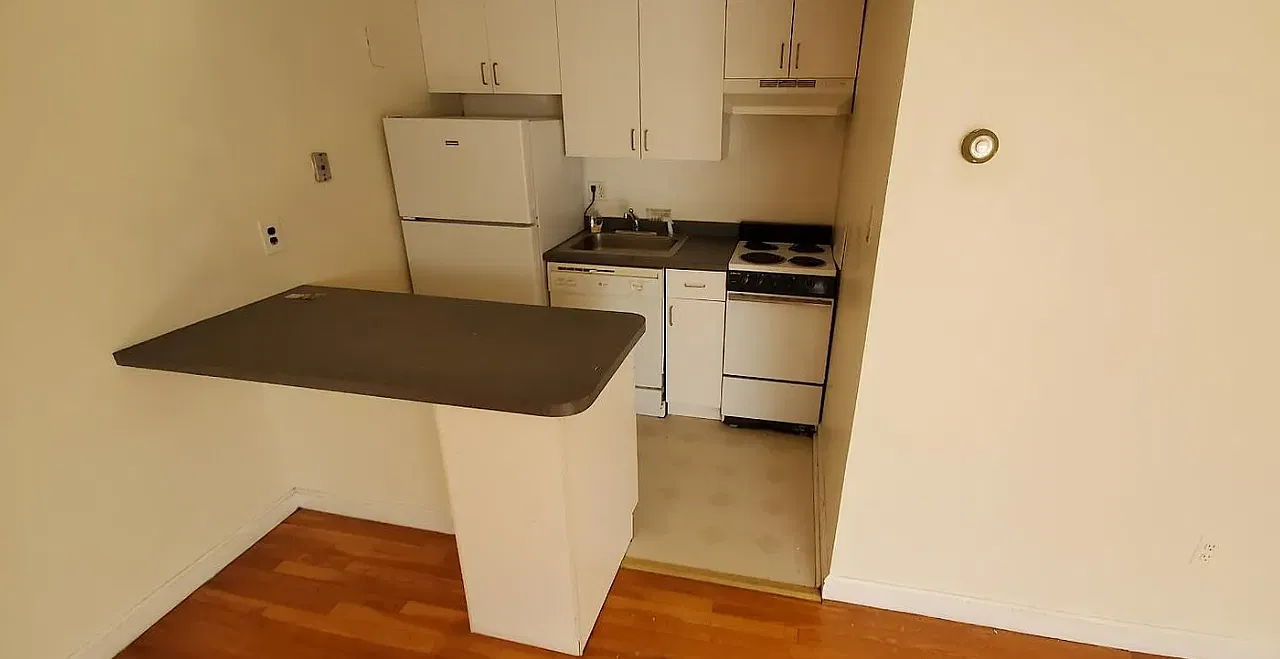 1 bed, 650 sqft, $2,500 — Photo 4
