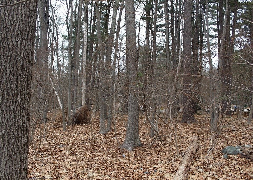 2nd image of 720 Edgell Rd