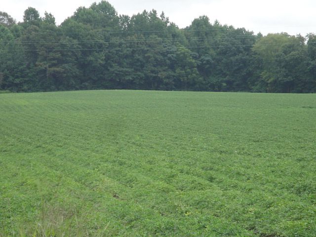 1st image of 47.112 Acres Quince Road