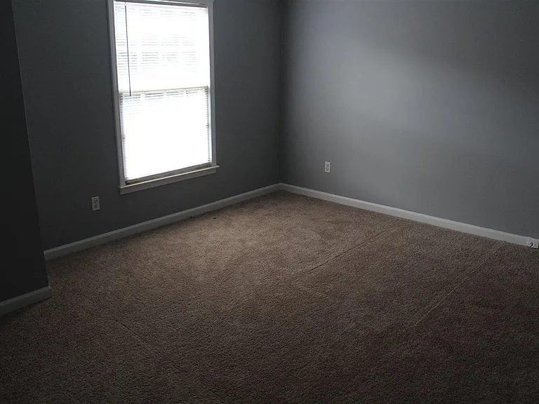 5573 Tulip Tree Dr — Photo 10