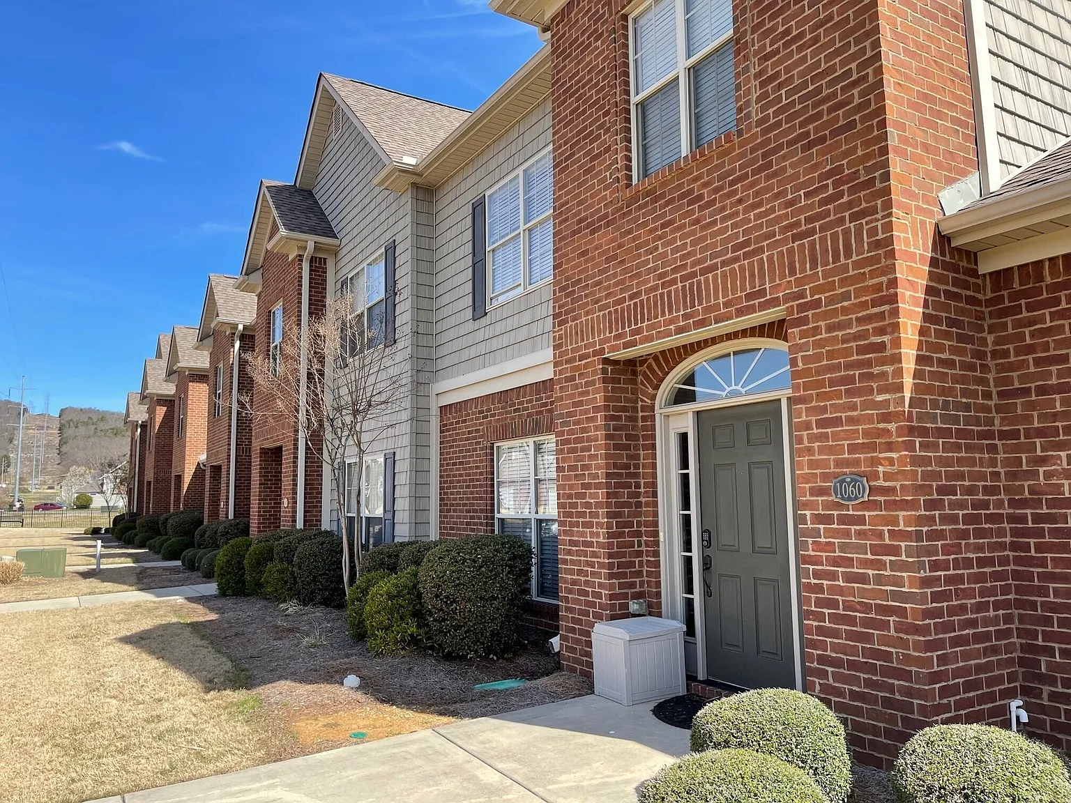 CHANEY PLACE TOWNHOMES — Photo 3