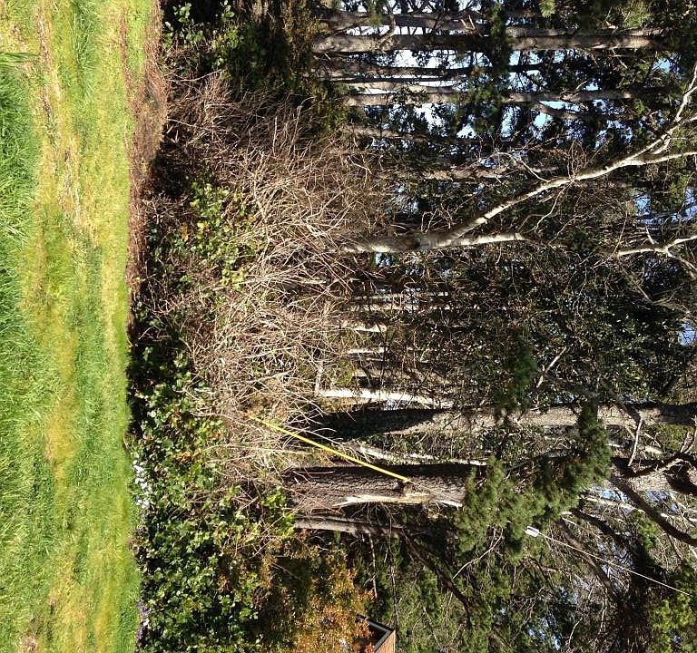 1st image of 3034 SE Dune Ave