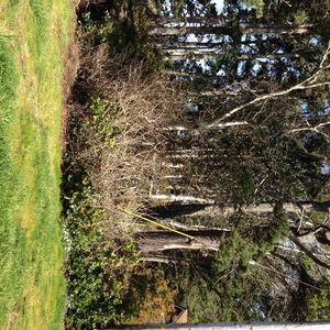 3034 SE Dune Ave, Lincoln City, OR, 97367