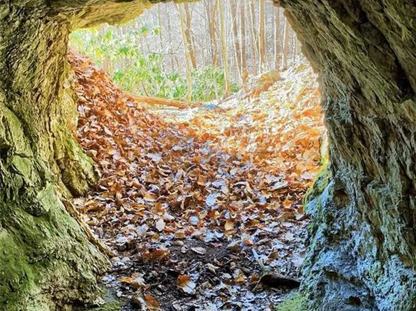 270 Ledford Ridge Ln, Bakersville, NC 28705