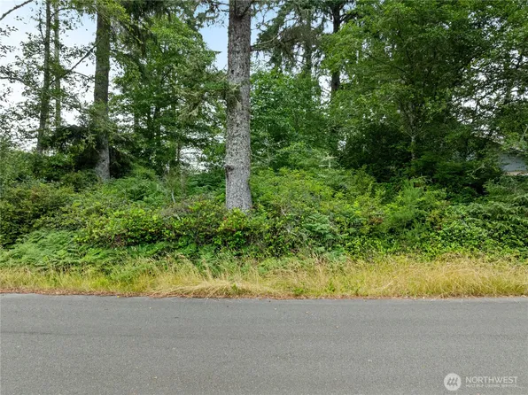 784 Evergreen Avenue SE, Ocean Shores, WA 98569