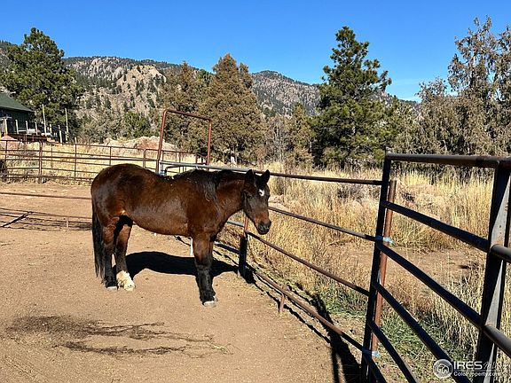 2nd image of 123 Mohawk Rd