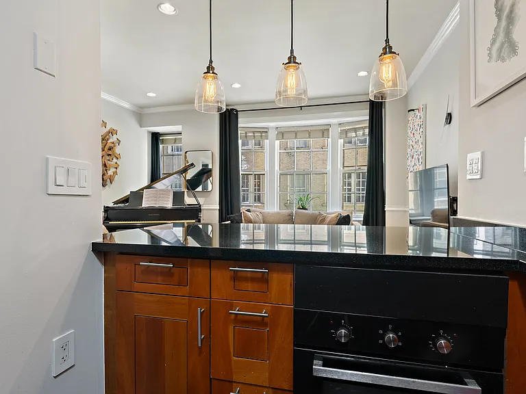70 E Scott St #308 — Photo 17