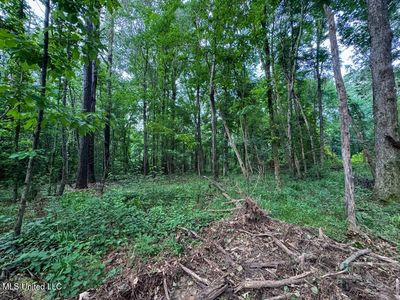 2 Old Hamburg Rd NW, Roxie, MS, 39661