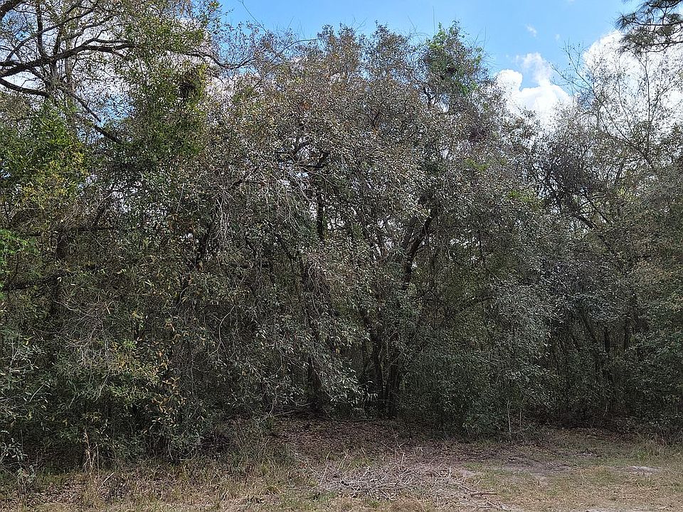 2nd image of Shea Dr