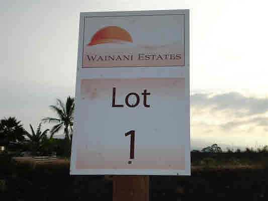 2nd image of Koi Koi St Lot 1