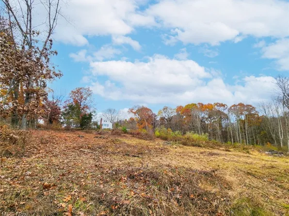 43192 Osbourne Rd, Wellsville, OH 43968