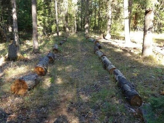 TRAIL TO SWAN RIVER BANK