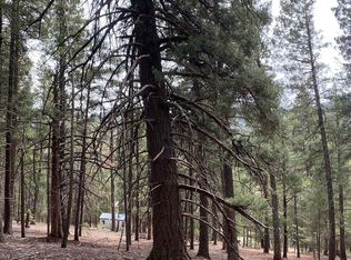 Squirrel Ln, Cloudcroft, NM 88317