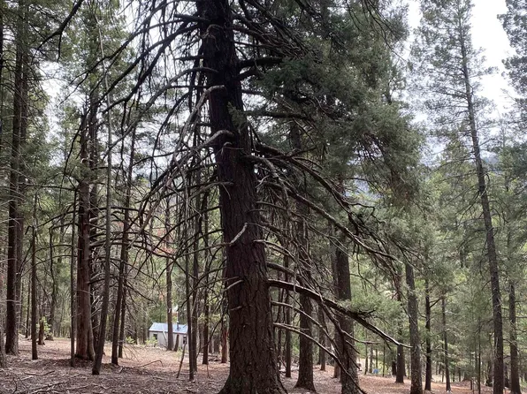 Squirrel Ln, Cloudcroft, NM 88317