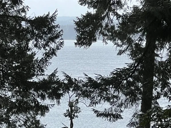 432 Pleasant Harbor Road, Brinnon, WA 98320