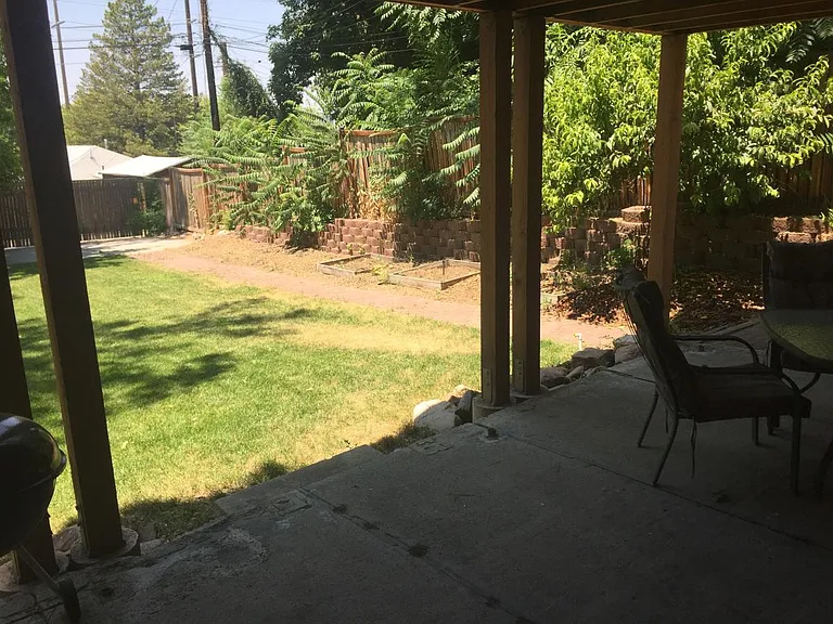 Backyard