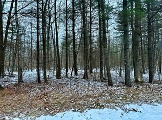 2463 Old School Rd, Indian River, MI 49749