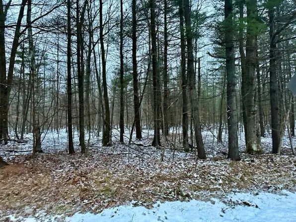 2463 Old School Rd, Indian River, MI 49749