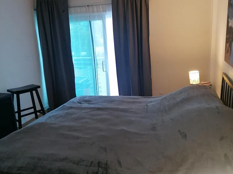 405 N Hibiscus Dr — Photo 30