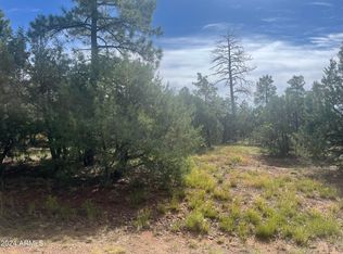 5455 Red Squirrel Ln #54, Lakeside, AZ 85929