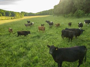 1375 Brushy Rd, Centerville, TN 37033