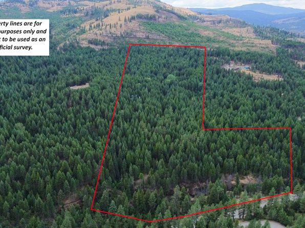 21 Harms Way, Republic, WA 99166