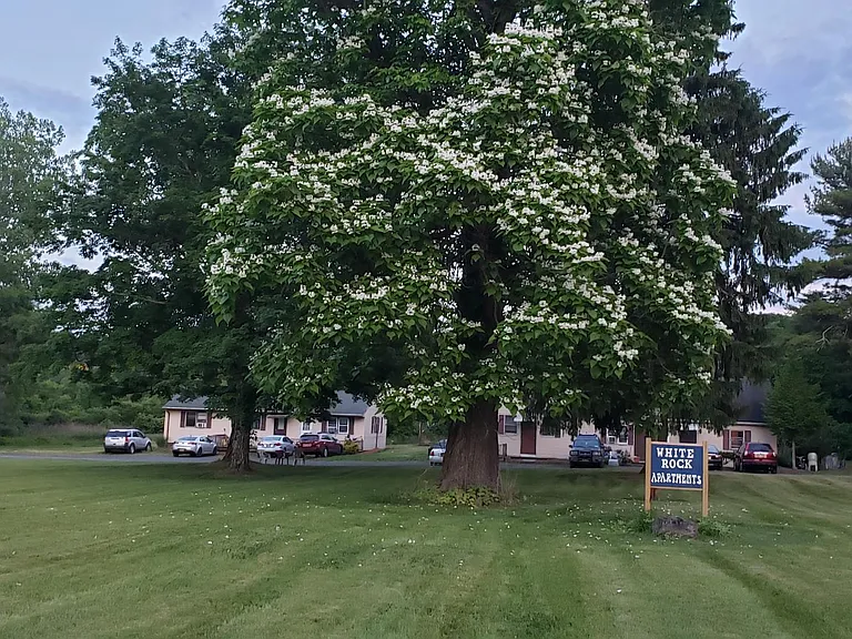 Route 44 — Photo 8
