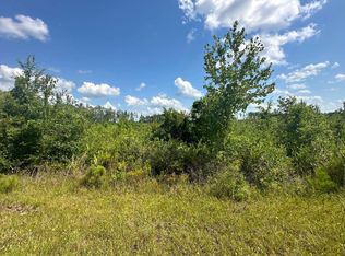 Tbd Se Weeks Ln, Lake City, FL 32025