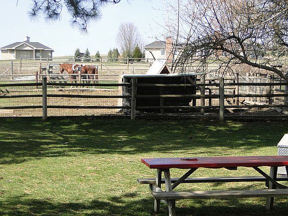 Pig Pen and Barbeque Pit