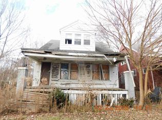 18081 Riopelle St, Detroit, MI 48203