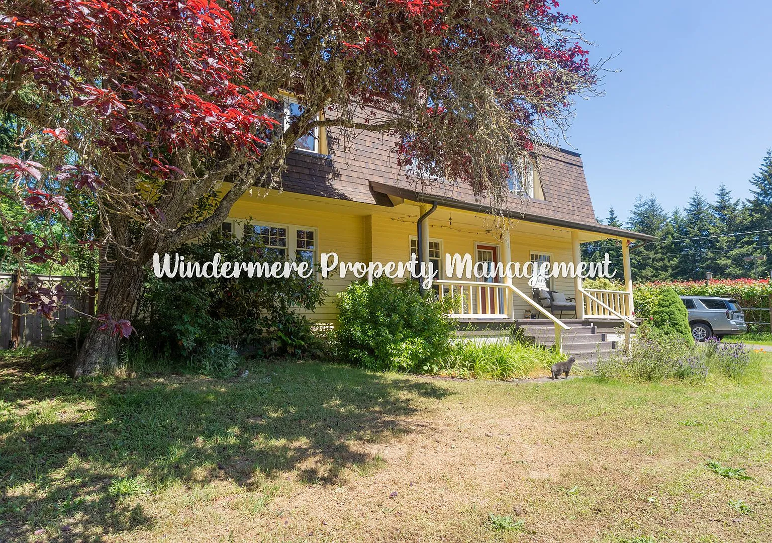 Peaceful and bright 3 bed in Kingston, walk to ferry, with Dry Sauna! — Photo 1