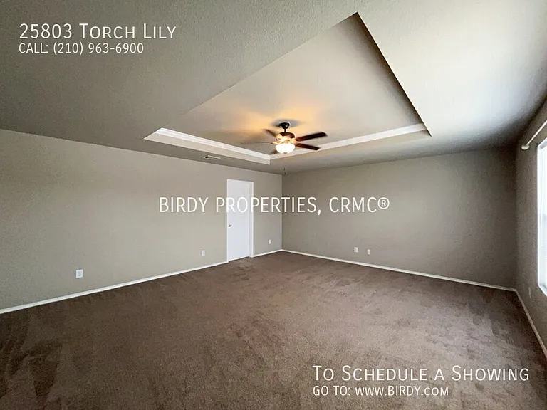 25803 Torch Lily — Photo 26