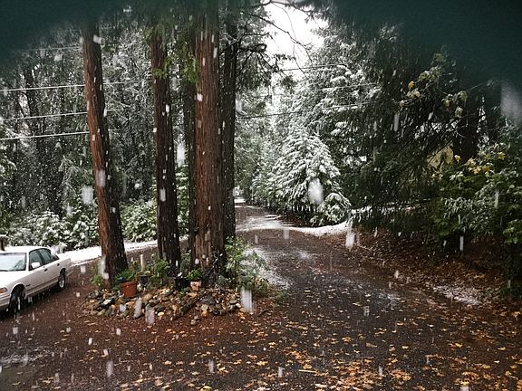 View from front door