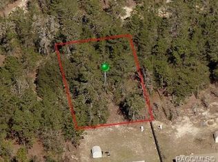 2903 Hillery St, Inverness, FL 34452