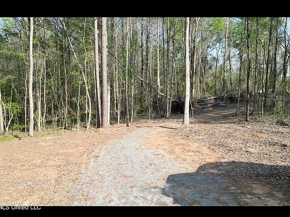 4th image of 1961 Alton Graham Rd